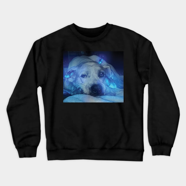 Dog and Blue Glowing Butterflies Crewneck Sweatshirt by Dad n Son Designs